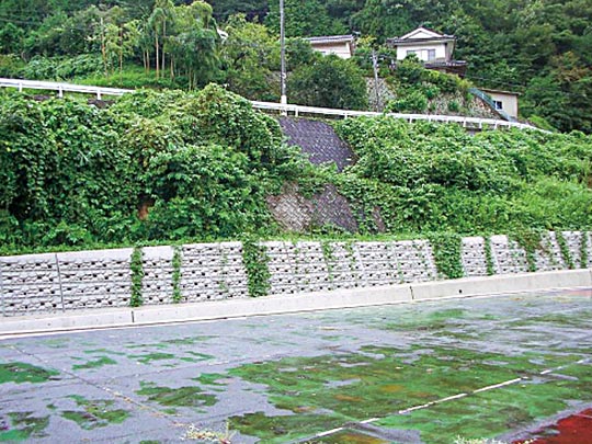 施工前